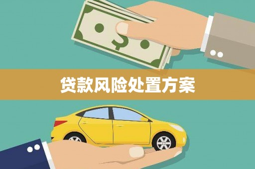 玉山贷款风险处置方案