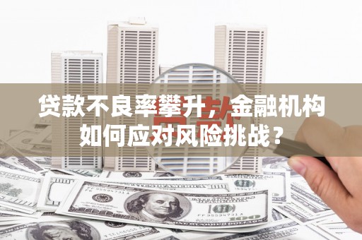 玉山贷款不良率攀升，金融机构如何应对风险挑战？