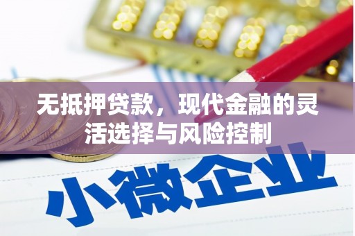 玉山无抵押贷款，现代金融的灵活选择与风险控制