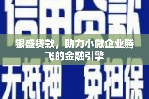 玉山银盛贷款，助力小微企业腾飞的金融引擎