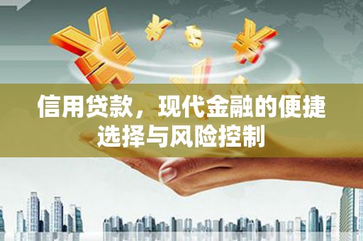 玉山信用贷款，现代金融的便捷选择与风险控制