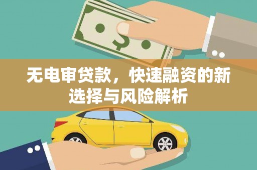 玉山无电审贷款，快速融资的新选择与风险解析
