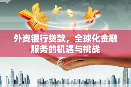 玉山外资银行贷款，全球化金融服务的机遇与挑战