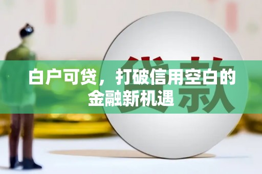 玉山白户可贷，打破信用空白的金融新机遇