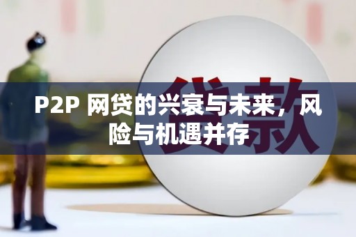 玉山P2P 网贷的兴衰与未来，风险与机遇并存