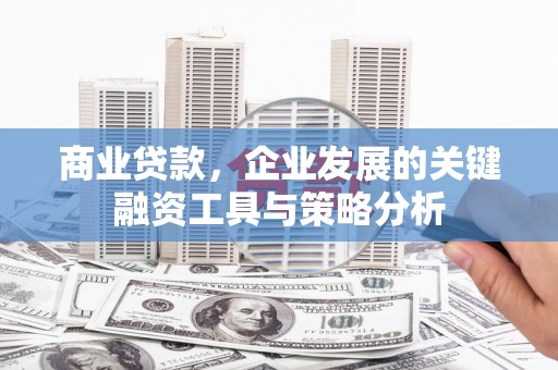 玉山商业贷款，企业发展的关键融资工具与策略分析