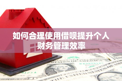 玉山如何合理使用借呗提升个人财务管理效率