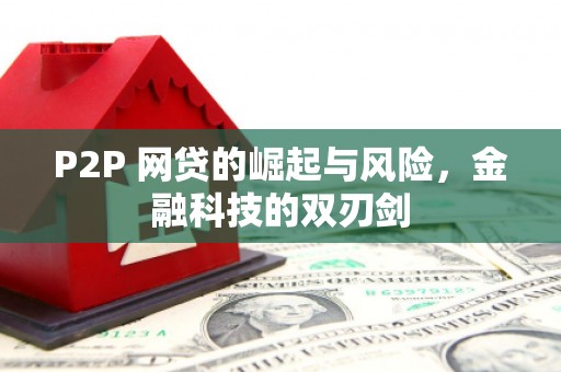 玉山P2P 网贷的崛起与风险，金融科技的双刃剑