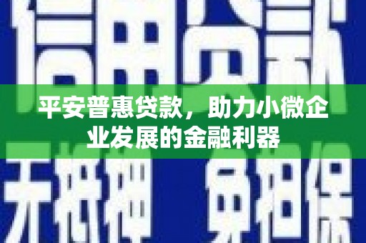 玉山平安普惠贷款，助力小微企业发展的金融利器