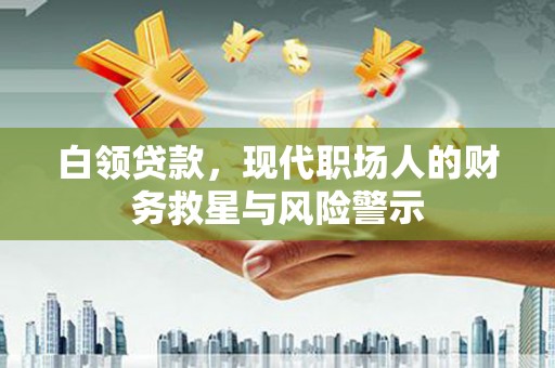 玉山白领贷款，现代职场人的财务救星与风险警示