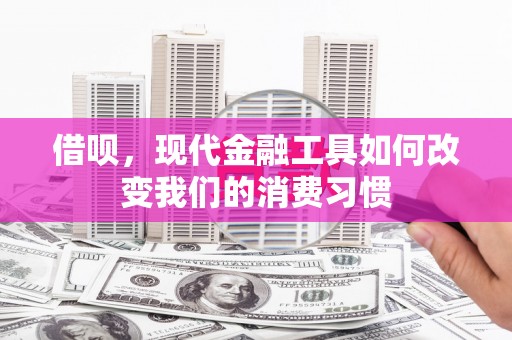 玉山借呗，现代金融工具如何改变我们的消费习惯