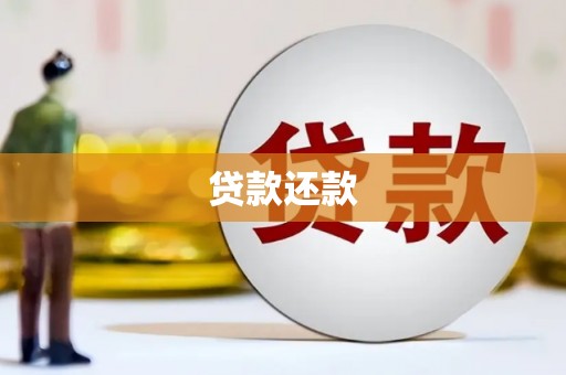 玉山贷款还款