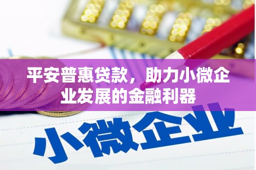 玉山平安普惠贷款，助力小微企业发展的金融利器