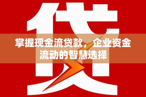 玉山掌握现金流贷款，企业资金流动的智慧选择