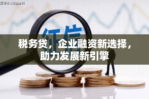 玉山税务贷，企业融资新选择，助力发展新引擎