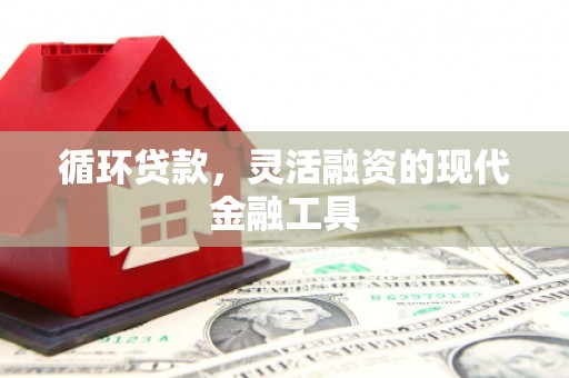 玉山循环贷款，灵活融资的现代金融工具