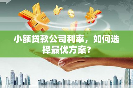 玉山小额贷款公司利率，如何选择最优方案？