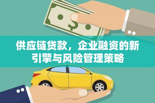玉山供应链贷款，企业融资的新引擎与风险管理策略