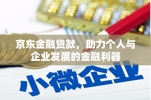 玉山京东金融贷款，助力个人与企业发展的金融利器