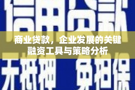 玉山商业贷款，企业发展的关键融资工具与策略分析