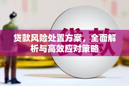 玉山贷款风险处置方案，全面解析与高效应对策略