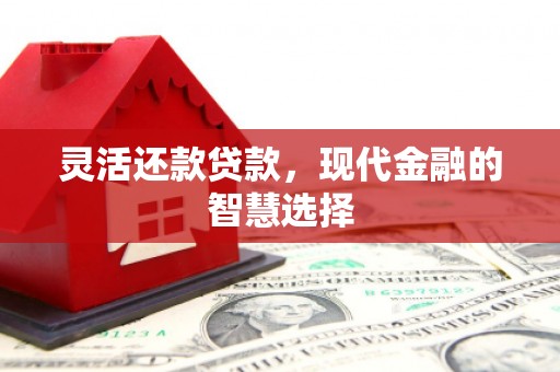 玉山灵活还款贷款，现代金融的智慧选择