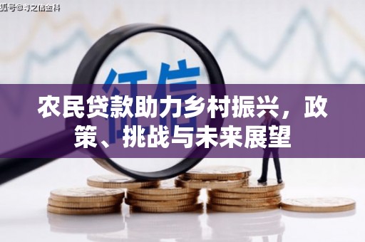 玉山农民贷款助力乡村振兴，政策、挑战与未来展望