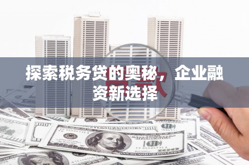 玉山探索税务贷的奥秘，企业融资新选择