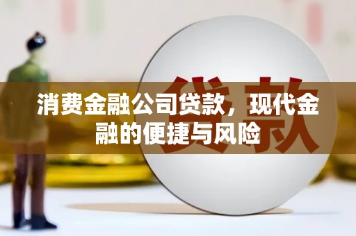 玉山消费金融公司贷款，现代金融的便捷与风险