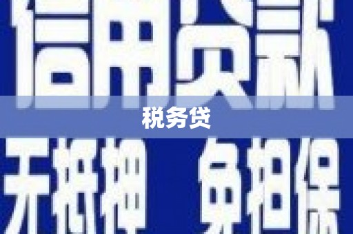 玉山税务贷