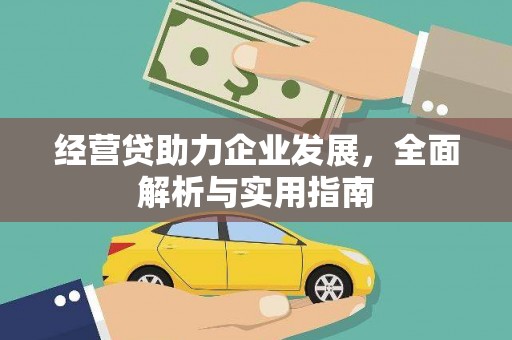 玉山经营贷助力企业发展，全面解析与实用指南