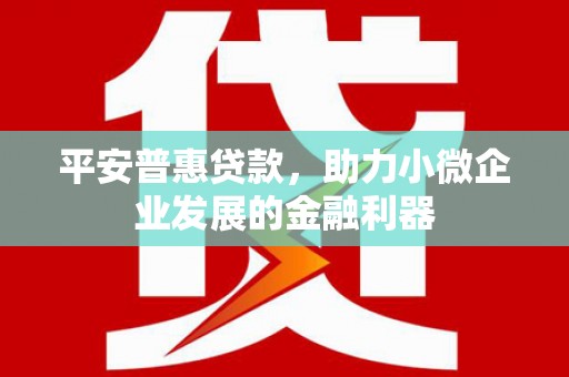 玉山平安普惠贷款，助力小微企业发展的金融利器