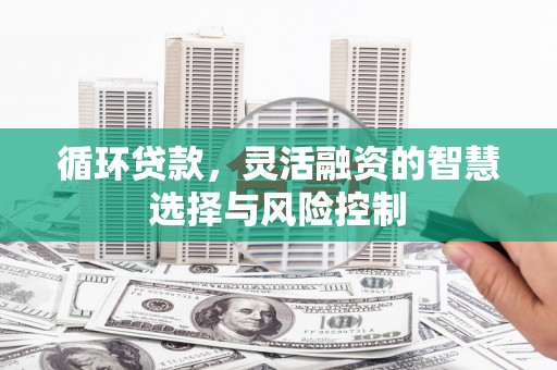 玉山循环贷款，灵活融资的智慧选择与风险控制