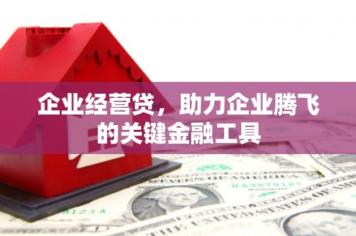 玉山企业经营贷，助力企业腾飞的关键金融工具