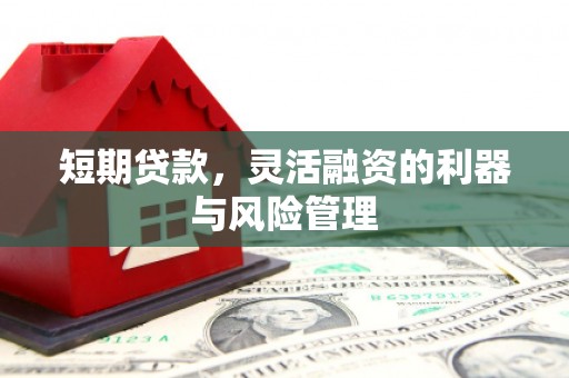 玉山短期贷款，灵活融资的利器与风险管理