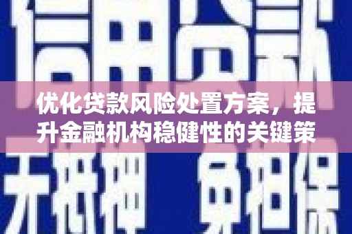玉山优化贷款风险处置方案，提升金融机构稳健性的关键策略