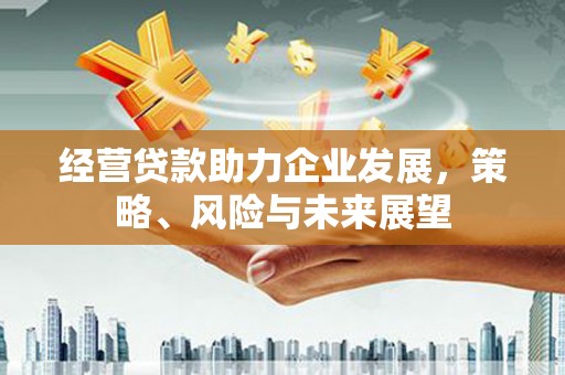 玉山经营贷款助力企业发展，策略、风险与未来展望
