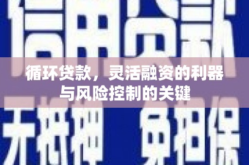玉山循环贷款，灵活融资的利器与风险控制的关键