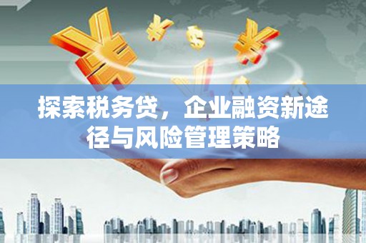 玉山探索税务贷，企业融资新途径与风险管理策略