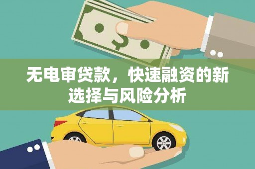 玉山无电审贷款，快速融资的新选择与风险分析