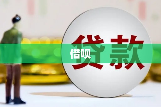 玉山借呗