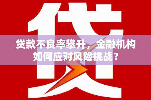 玉山贷款不良率攀升，金融机构如何应对风险挑战？