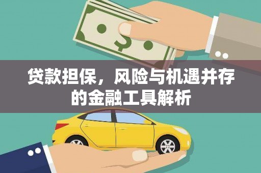 玉山贷款担保，风险与机遇并存的金融工具解析
