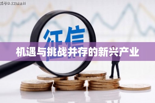 玉山机遇与挑战并存的新兴产业