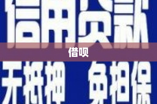 玉山借呗