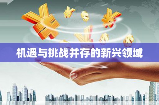玉山机遇与挑战并存的新兴领域