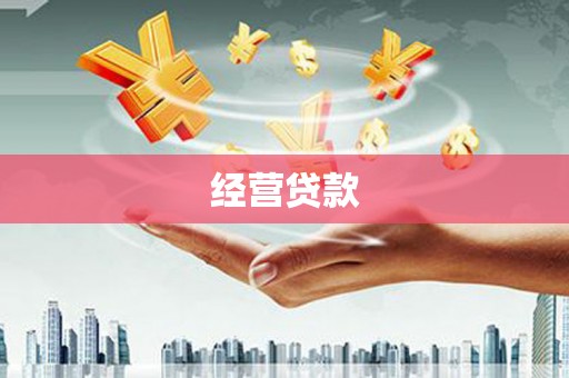 玉山经营贷款