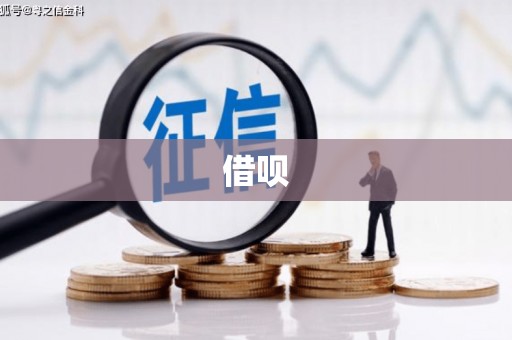 玉山借呗