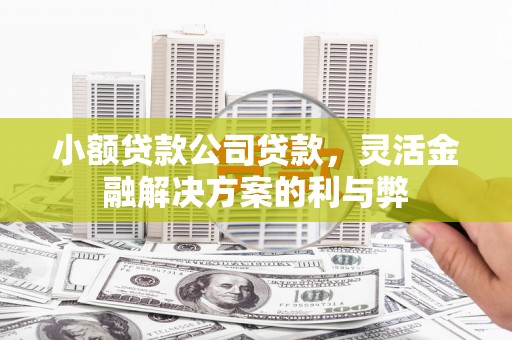玉山小额贷款公司贷款，灵活金融解决方案的利与弊